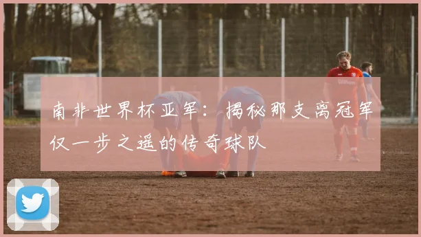 南非世界杯亚军：揭秘那支离冠军仅一步之遥的传奇球队