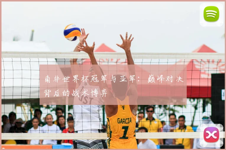 南非世界杯冠军与亚军：巅峰对决背后的战术博弈