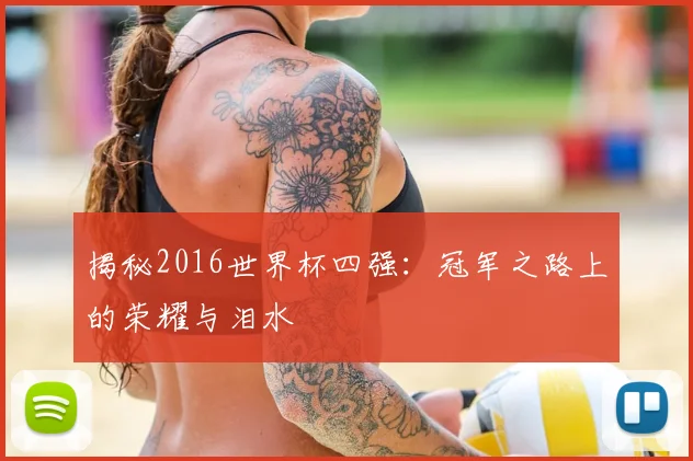 揭秘2016世界杯四强：冠军之路上的荣耀与泪水