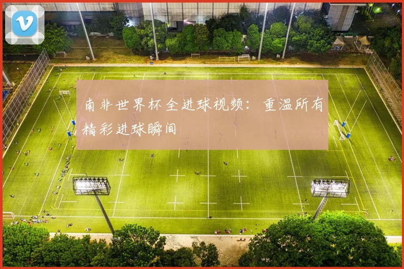 南非世界杯全进球视频：重温所有精彩进球瞬间